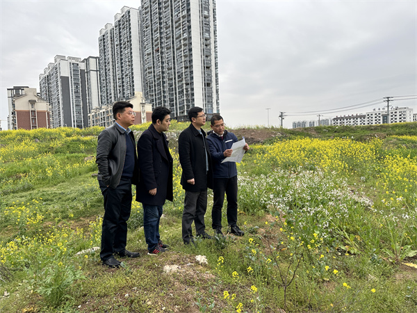 3月29日，張總陪同汪盛縣長調度揚之學校征地.jpg